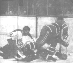 Action around Terry Sawchuck